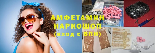 трава Гусиноозёрск