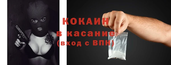 трава Гусиноозёрск