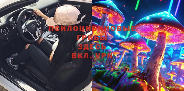 круглые Гусь-Хрустальный