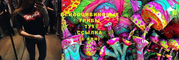 мдма Гусев