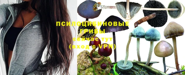 трава Гусиноозёрск