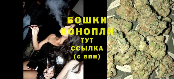 трава Гусиноозёрск
