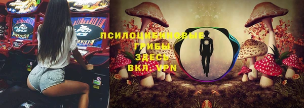 трава Гусиноозёрск