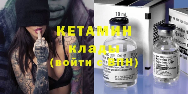 трава Гусиноозёрск