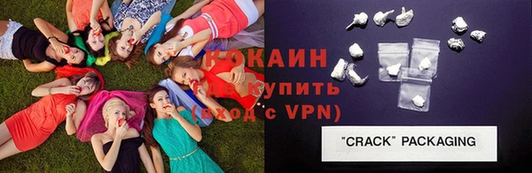 трава Гусиноозёрск